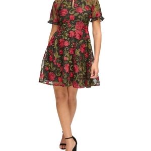 Kensie Women's Embroidered Fit & Flare Dress